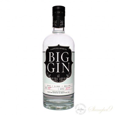 Big Gin