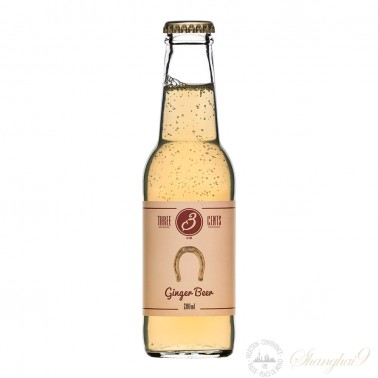 One Case Of Three Cents Ginger Beer